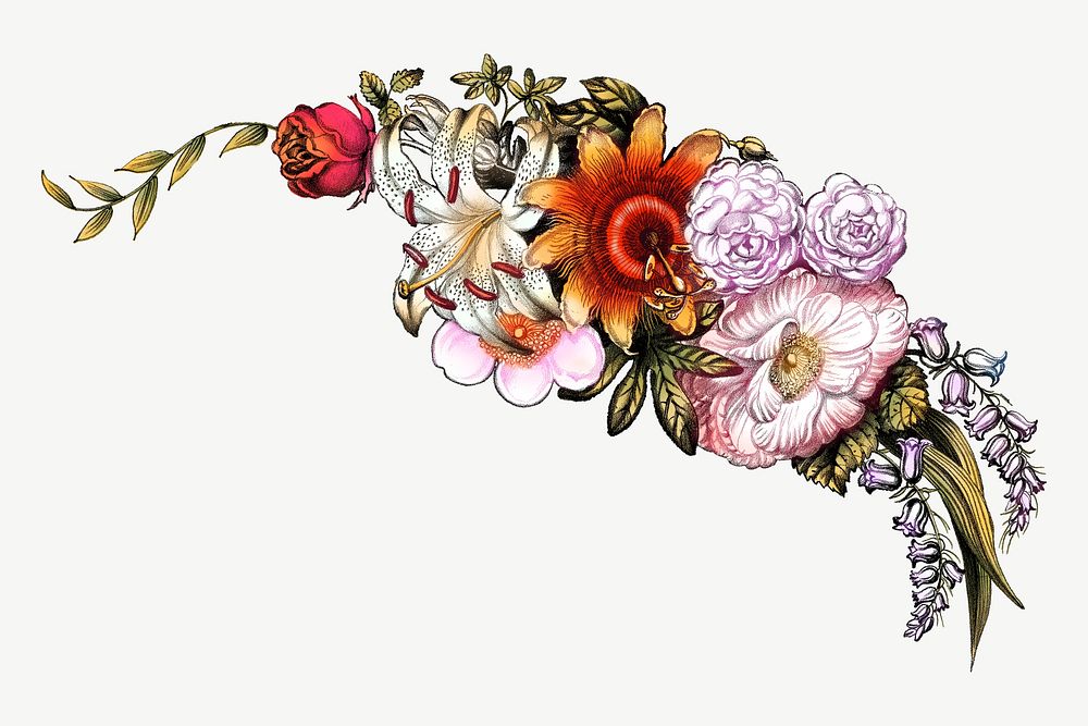 Vintage flower corner element, botanical illustration by Currier & Ives psd.  Remixed by rawpixel. 