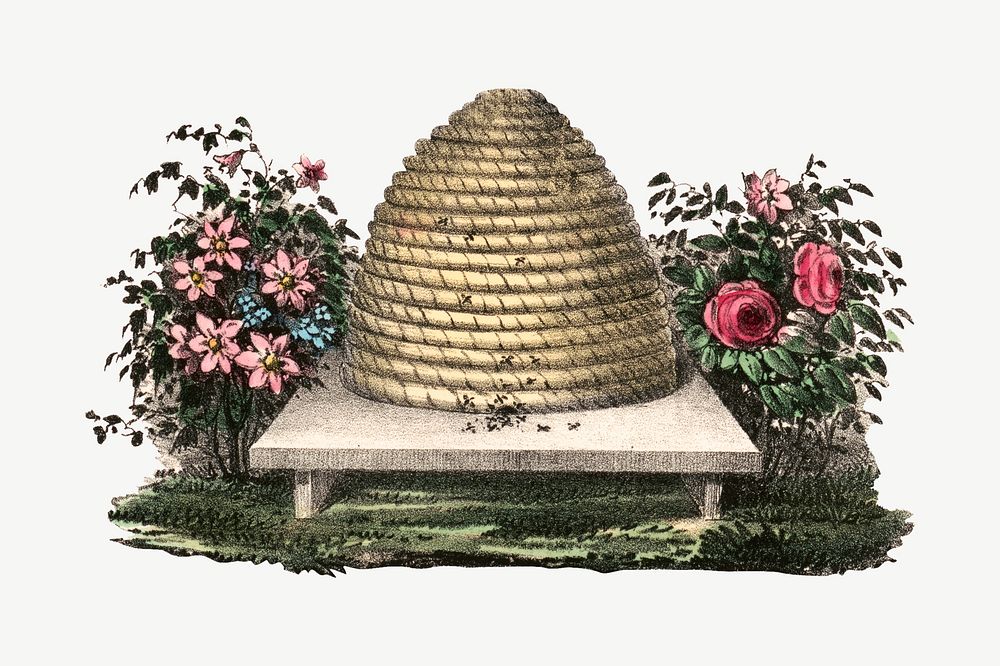 Bee hive, vintage illustration psd.  Remixed by rawpixel. 