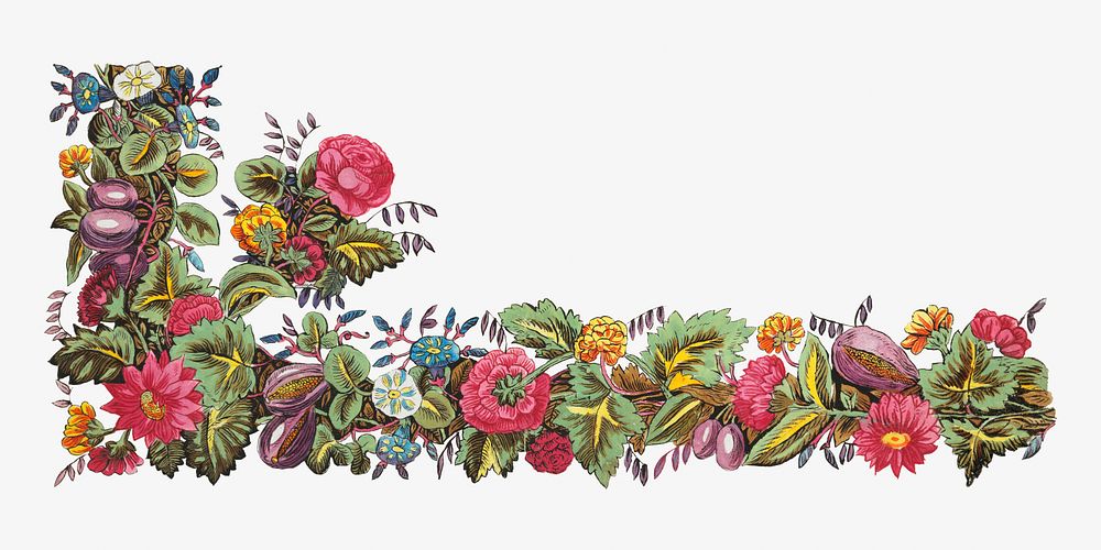 Vintage flower corner element, illustration by Louis-Albert DuBois.  Remixed by rawpixel. 
