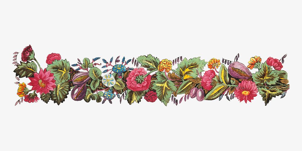 Vintage flower divider element, illustration by Louis-Albert DuBois.  Remixed by rawpixel. 