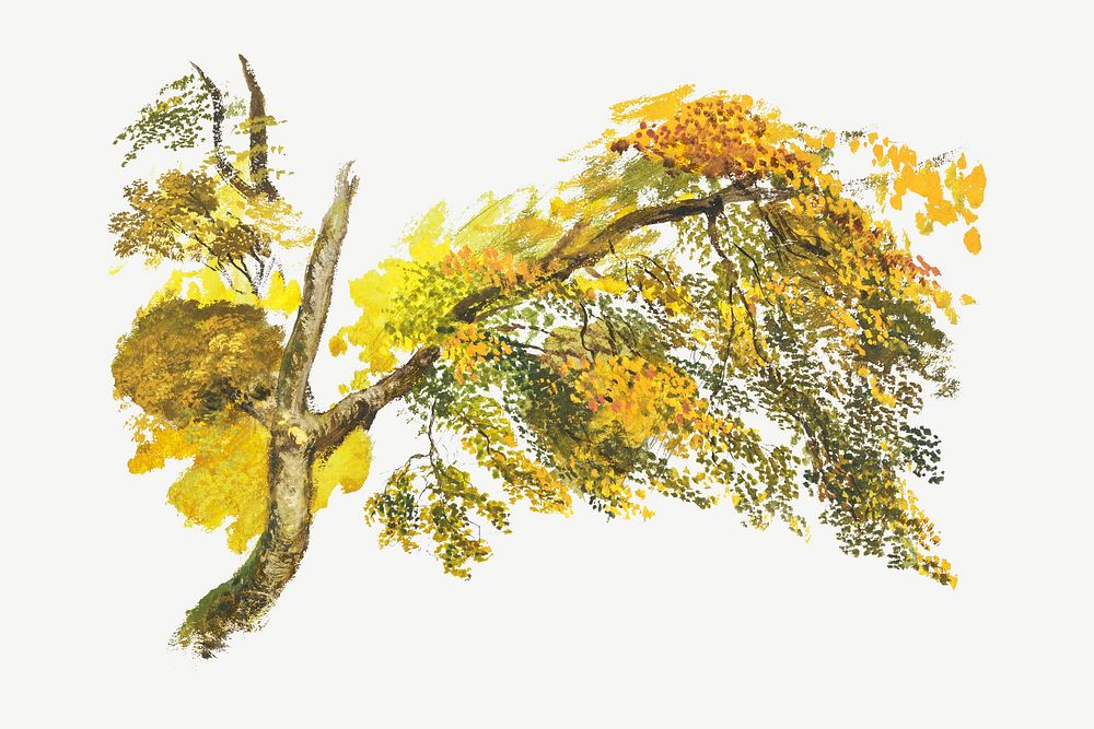 Autumn tree, nature botanical illustration by John Linnell psd.  Remixed by rawpixel. 