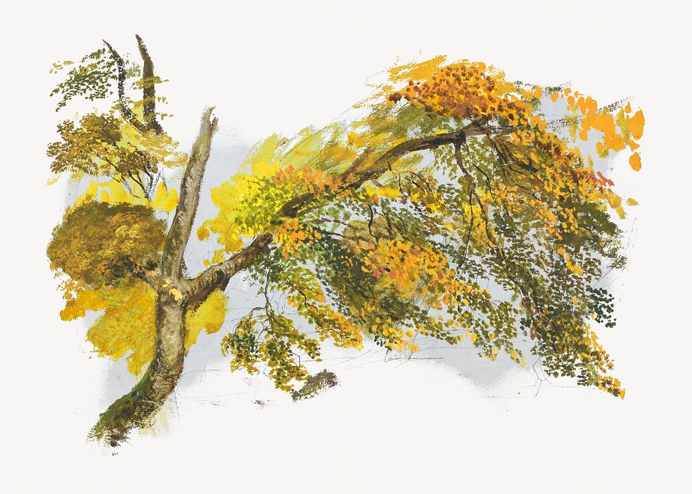 Autumn tree, nature botanical illustration by John Linnell.  Remixed by rawpixel. 