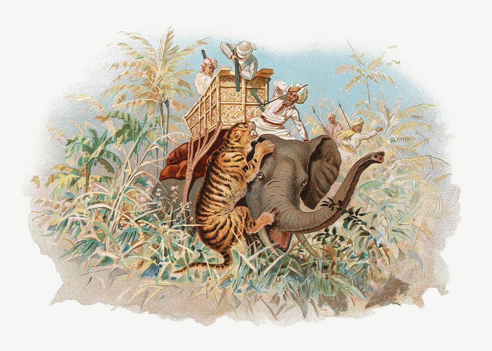 Tiger hunting, vintage animal illustration by John Charlton psd.  Remixed by rawpixel. 