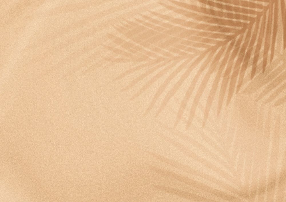 Tropical leaf shadow background
