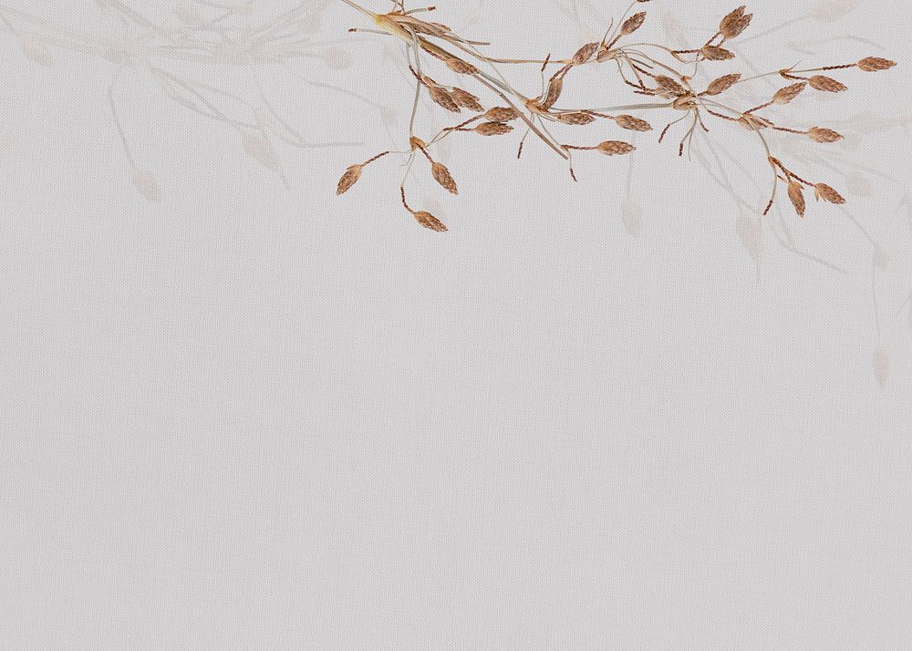 Gray textured background, leaf branch border
