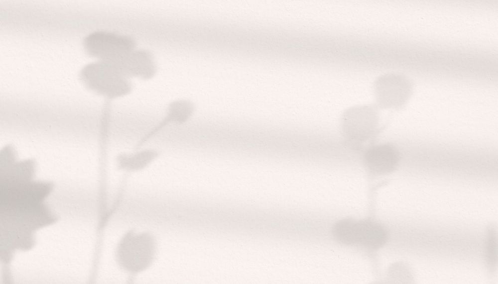 Flower shadow beige background