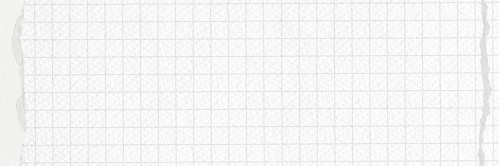 Off-white grid patterned background, ripped paper border