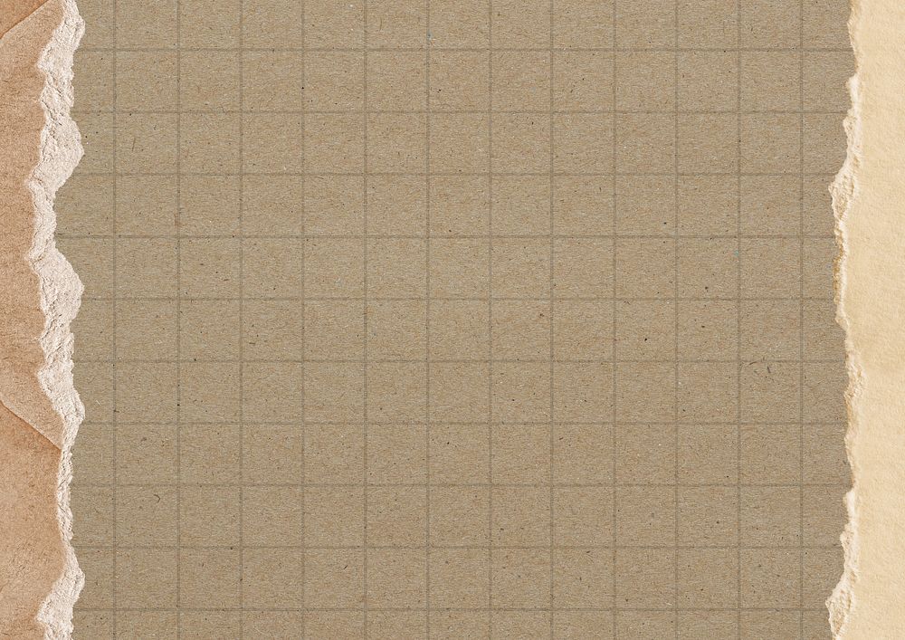 Brown grid patterned background, ripped paper border