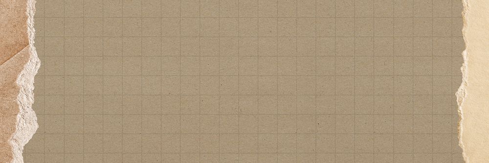 Brown grid patterned background, ripped paper border