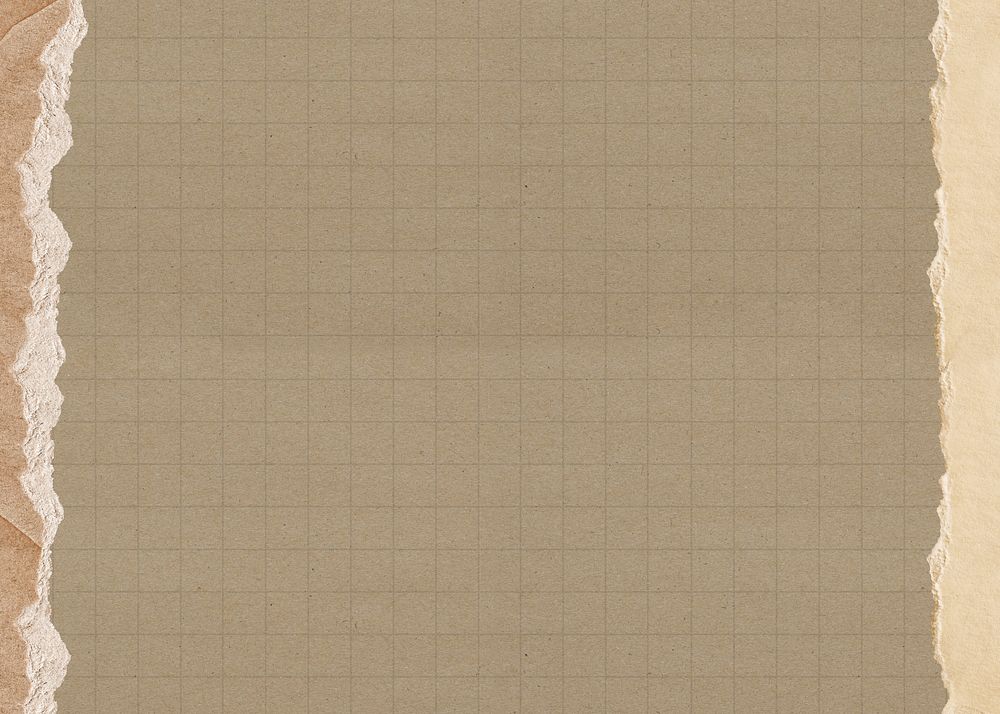 Brown grid patterned background, ripped paper border