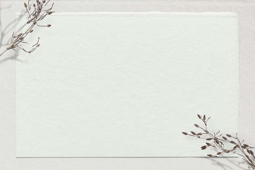 Flower border, off-white paper background psd
