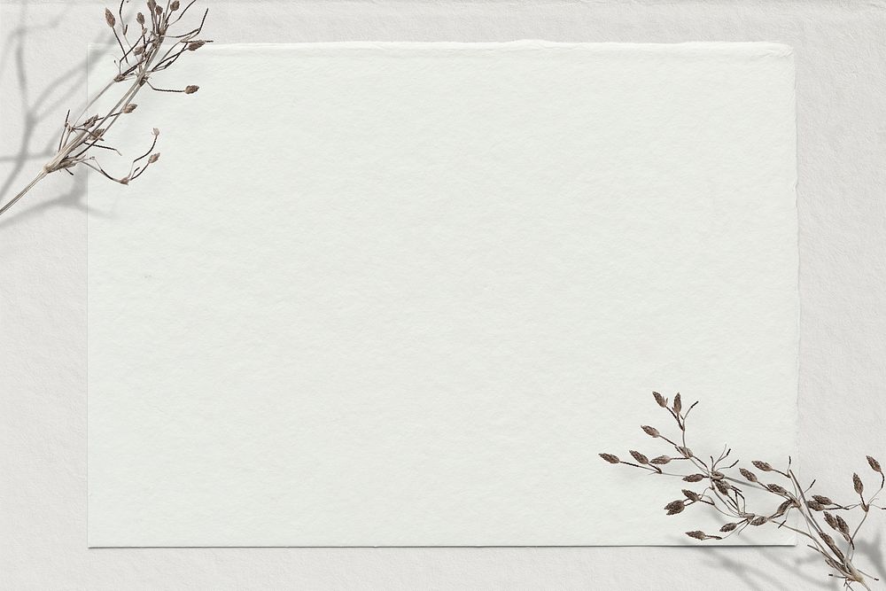 Off-white paper background, dry flower border