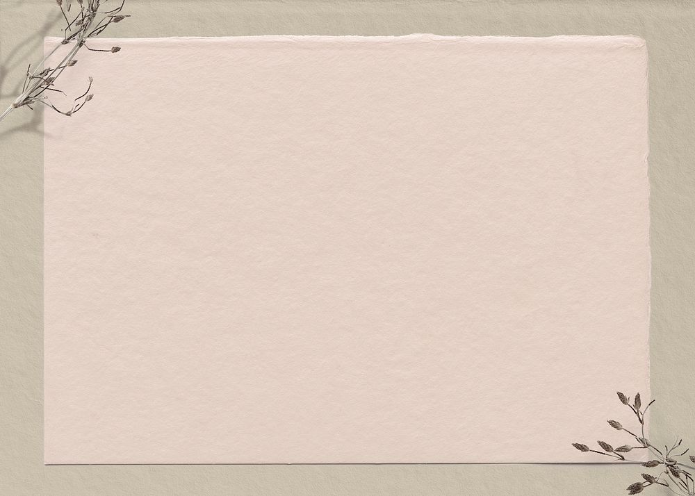 Pastel pink paper texture background, dry flower border