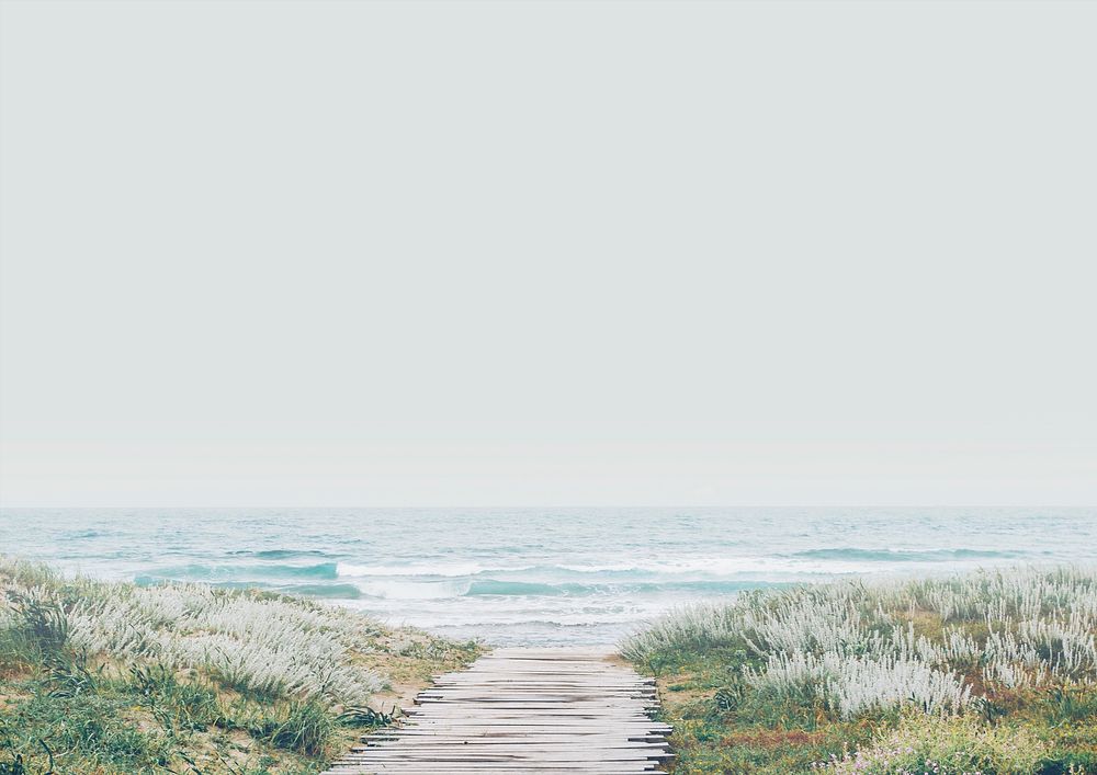 Beautiful beach background, wooden path through the grass