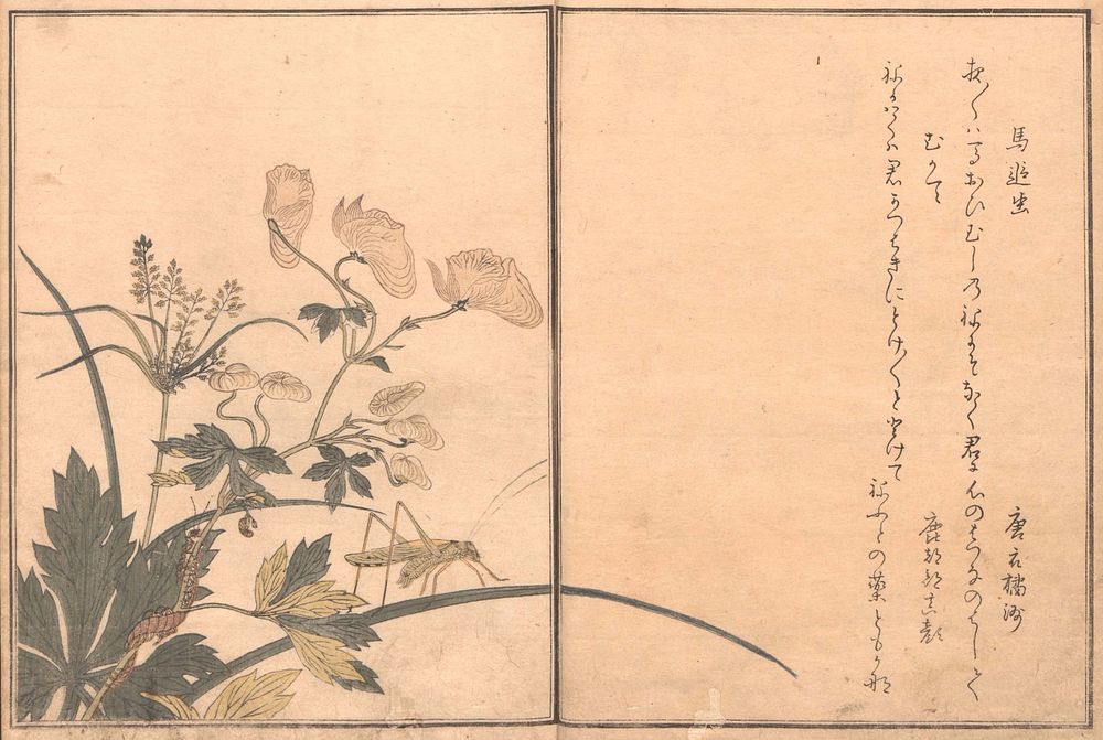 Picture Book of Crawling Creatures (The Insect Book) (Ehon mushi erami) by Kitagawa Utamaro