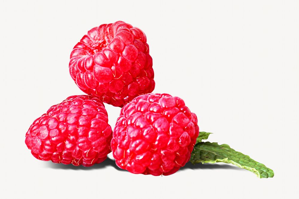 Red raspberry, isolated image