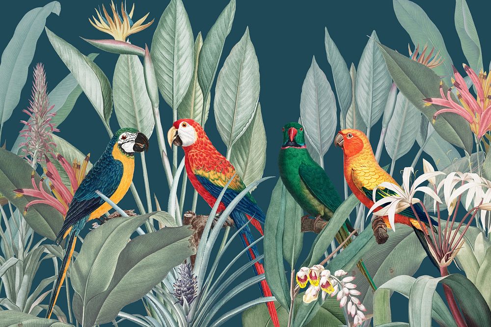 Colorful parrots vintage illustration background