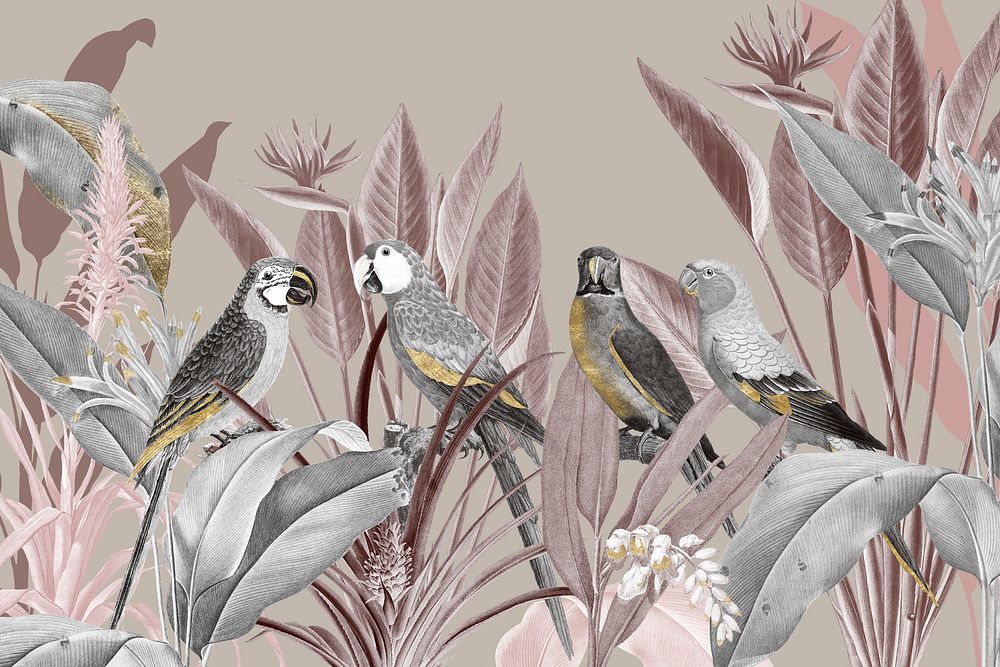 Macaw birds, spring vintage illustration collage element psd