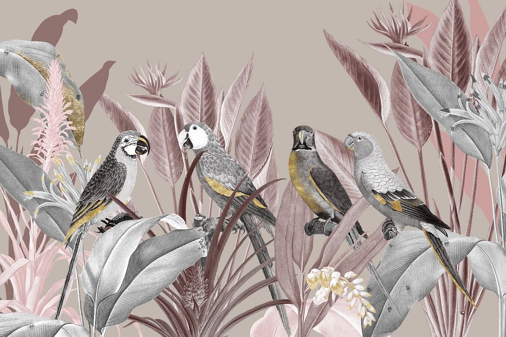 Bird vintage illustration background