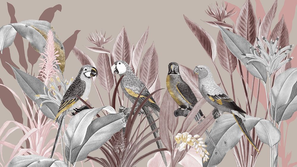 Birds vintage illustration desktop wallpaper