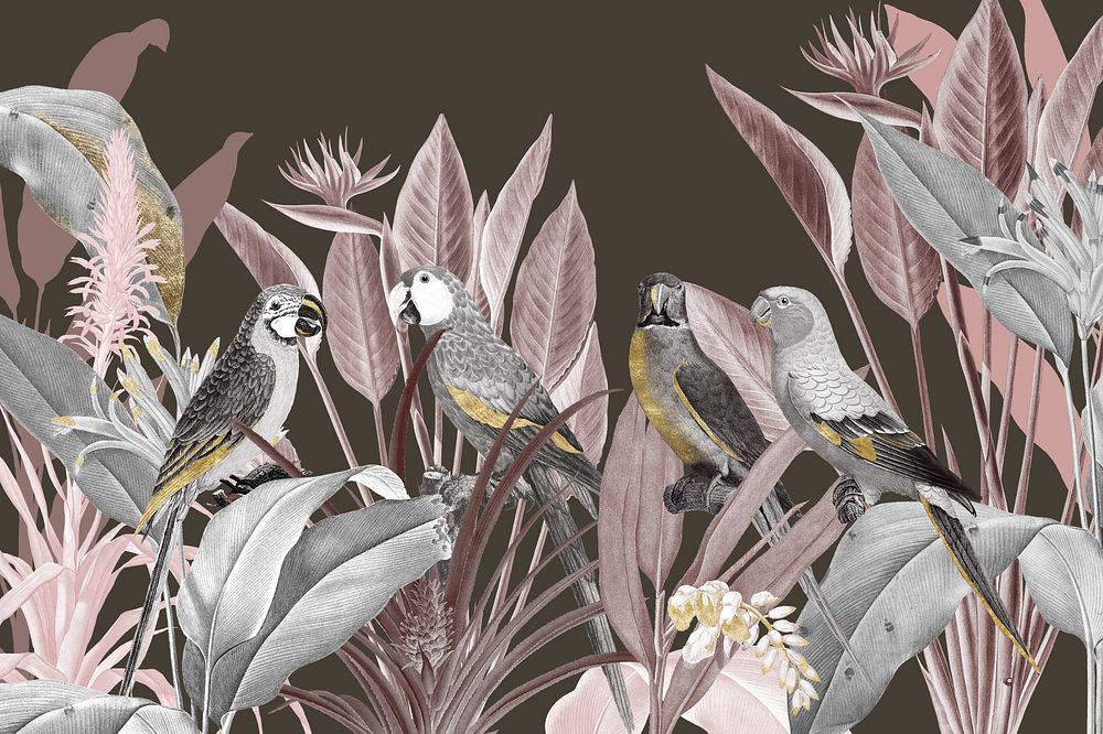 Bird vintage illustration background