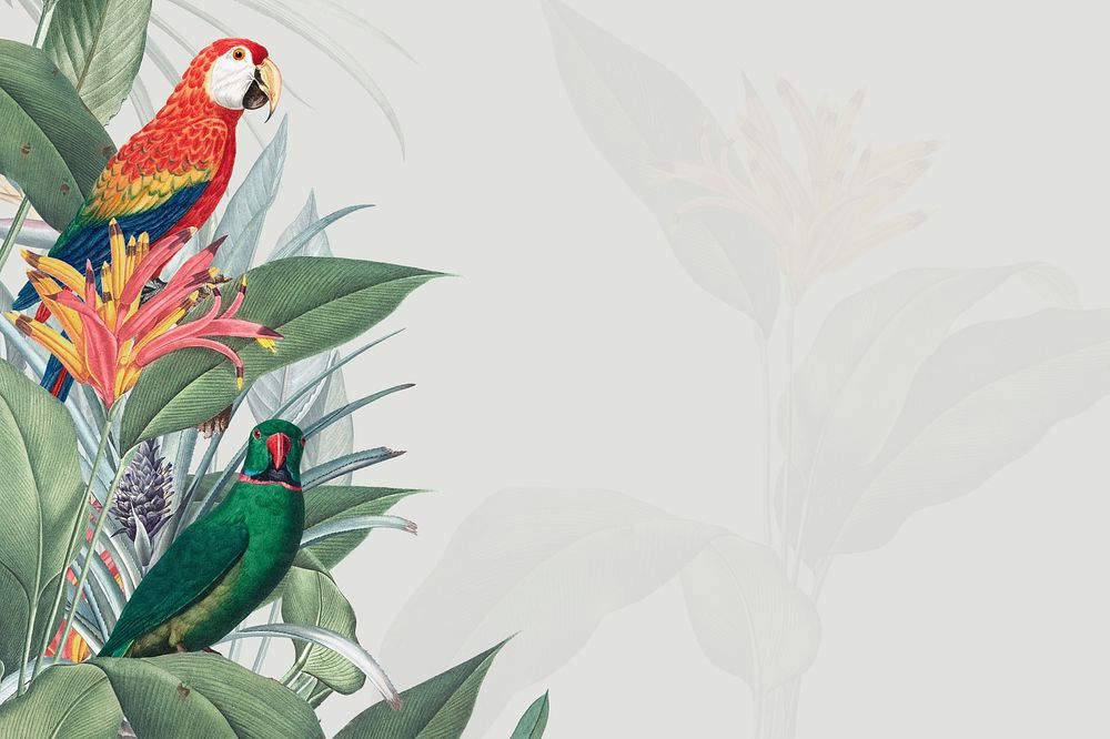 Colorful parrots vintage illustration background