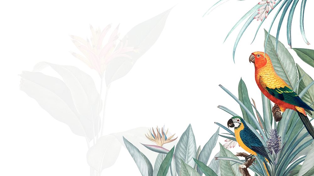 Colorful birds illustration desktop wallpaper