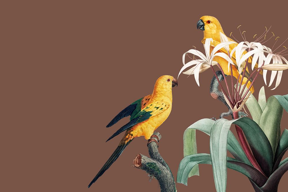 Bird vintage illustration, brown background