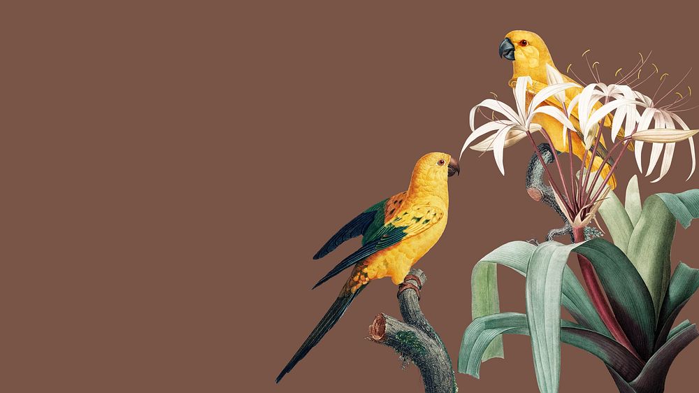 Yellow birds illustration desktop wallpaper | Free Photo - rawpixel