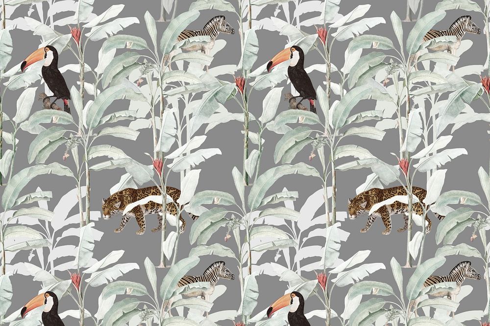 Toucan birds, plant background