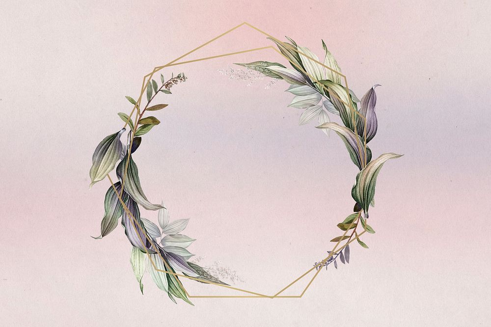 Circle plant frame, pink background