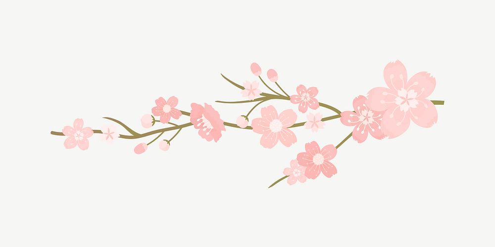 Pink flower illustration, japanese sakura psd