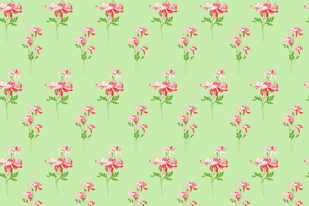 Pink chrysanthemum flower pattern, green background