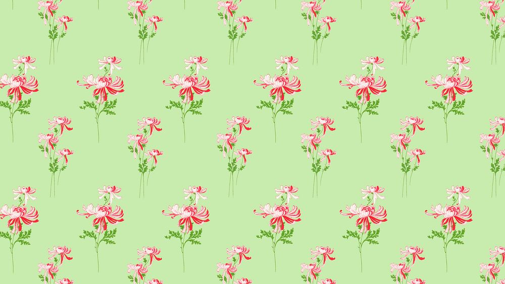 Pink chrysanthemum pattern desktop wallpaper, green background