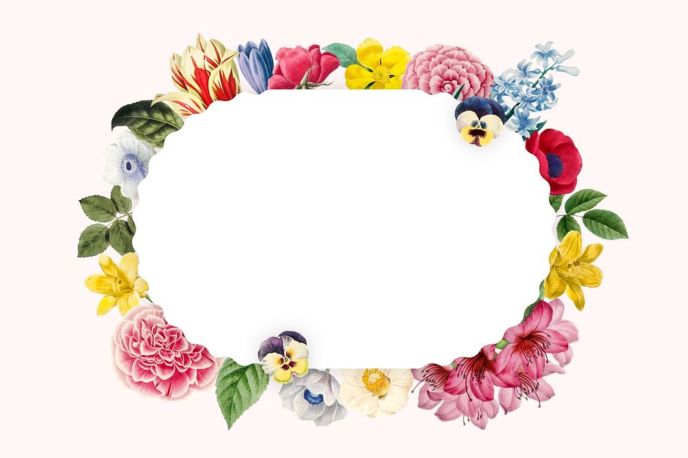 Botanical oval frame background, flower illustration