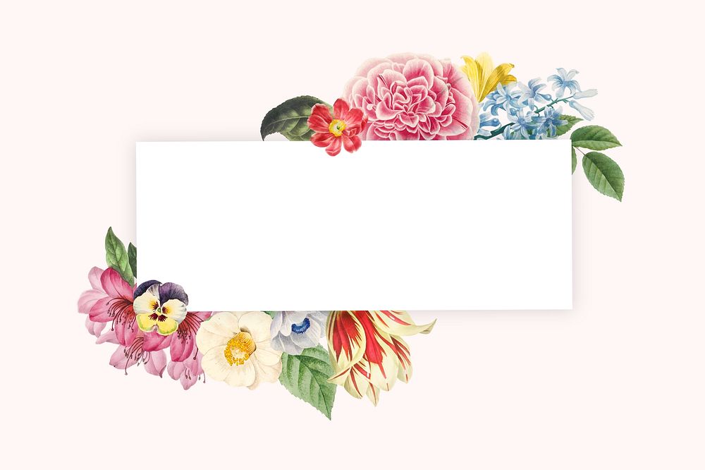 Botanical rectangle frame background, flower illustration