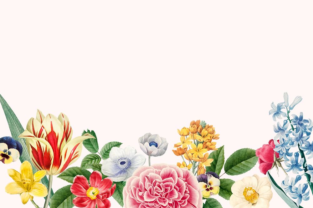 Colorful flower border beige background, botanical illustration