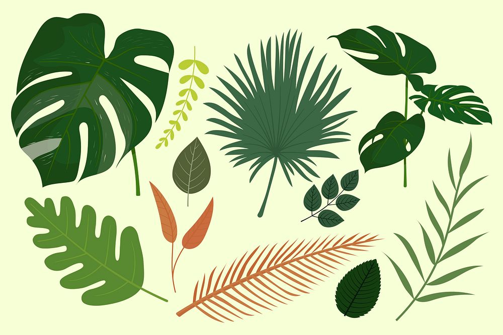 Monstera leaf illustration, tree leaves set psd