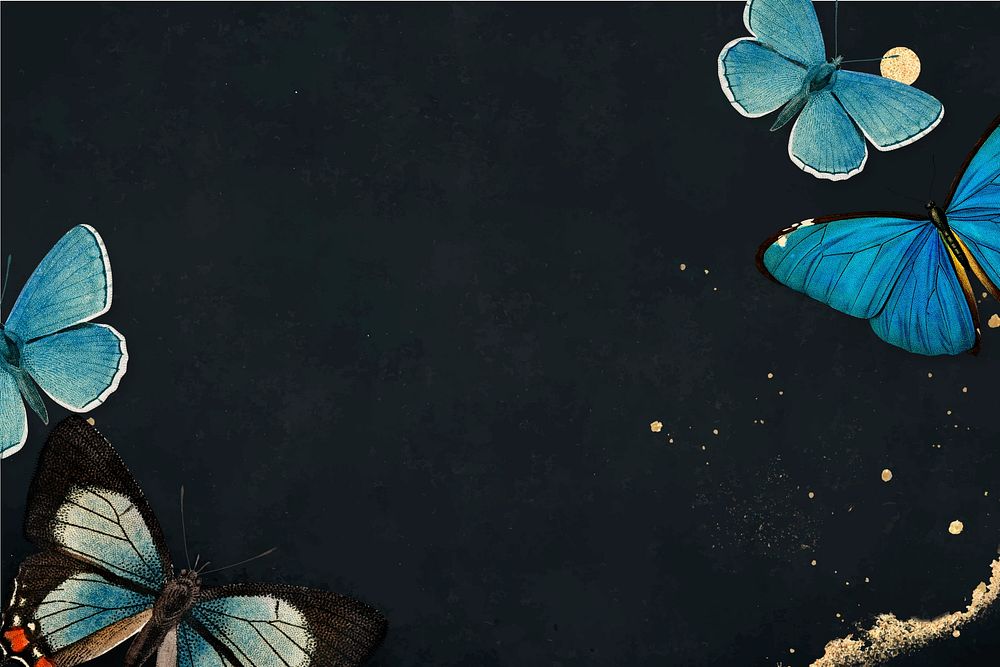 Black butterfly border glitter background