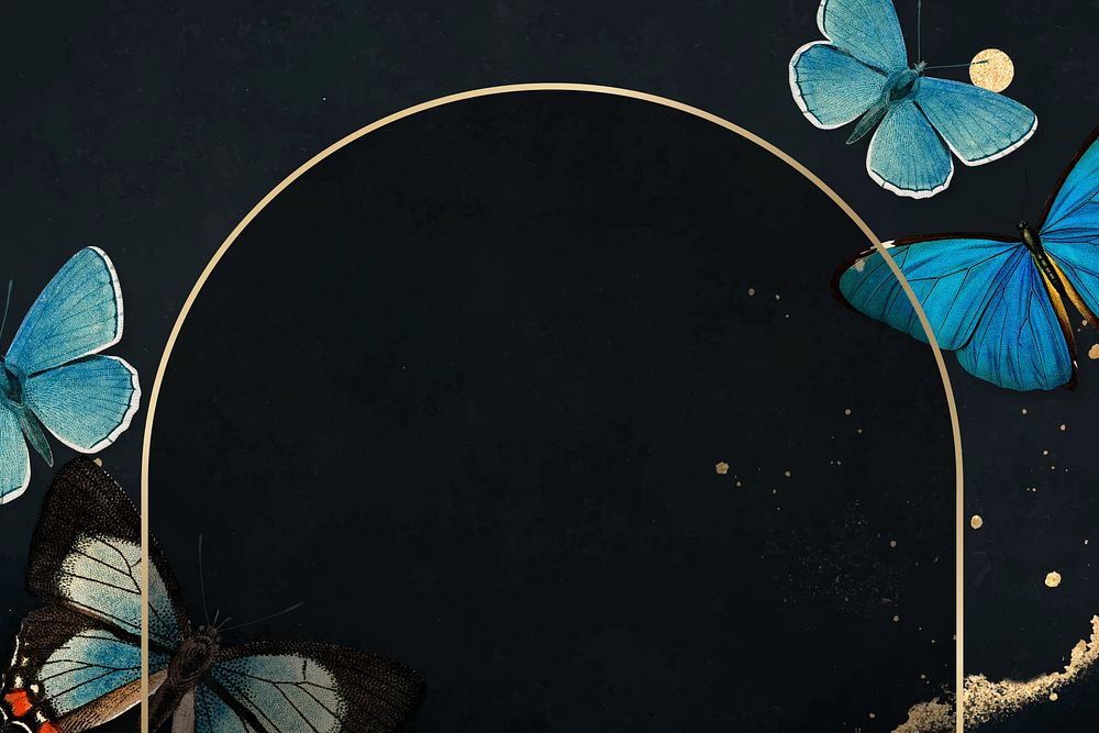 Vintage frame butterfly black background