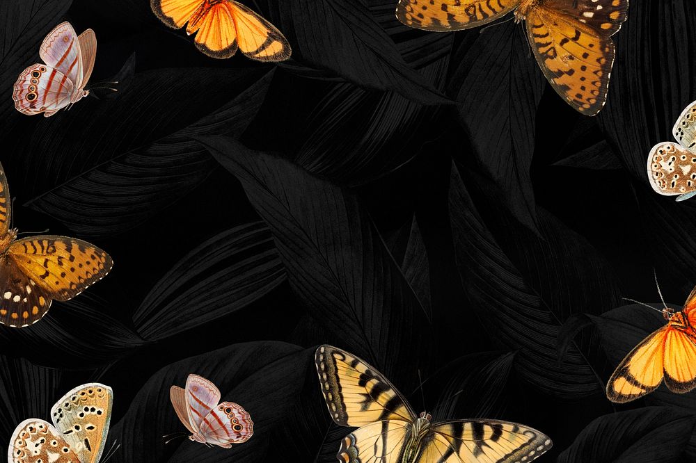 Black butterfly border frame background