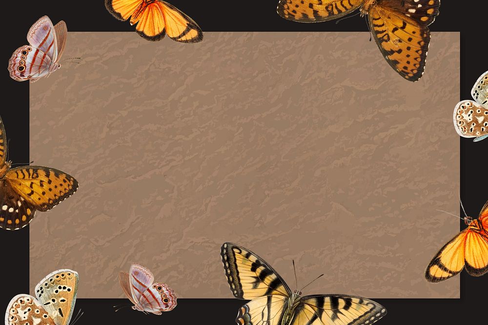 Brown butterfly frame background