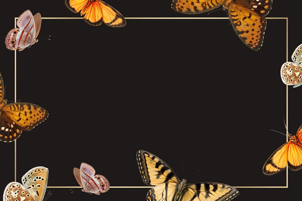 Butterfly border frame black background