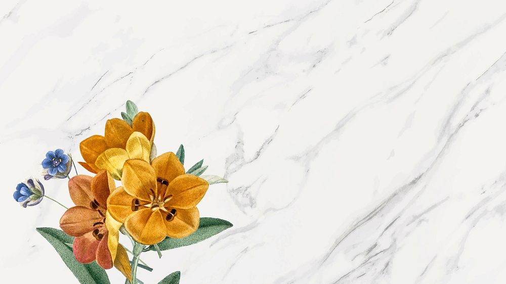 Floral border desktop wallpaper, white design