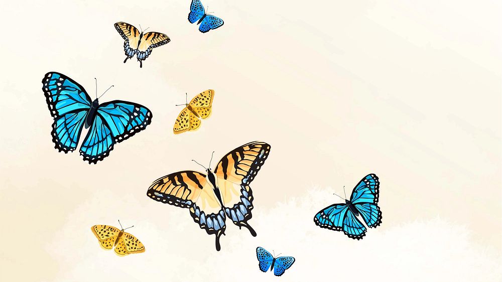 Beautiful butterfly desktop wallpaper