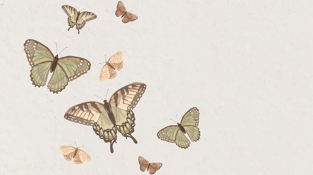 Aesthetic nature butterfly desktop wallpaper