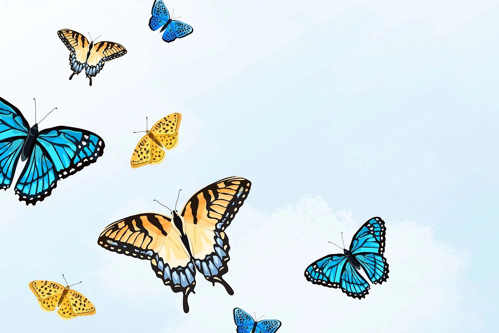 Colorful sky butterfly illustration background