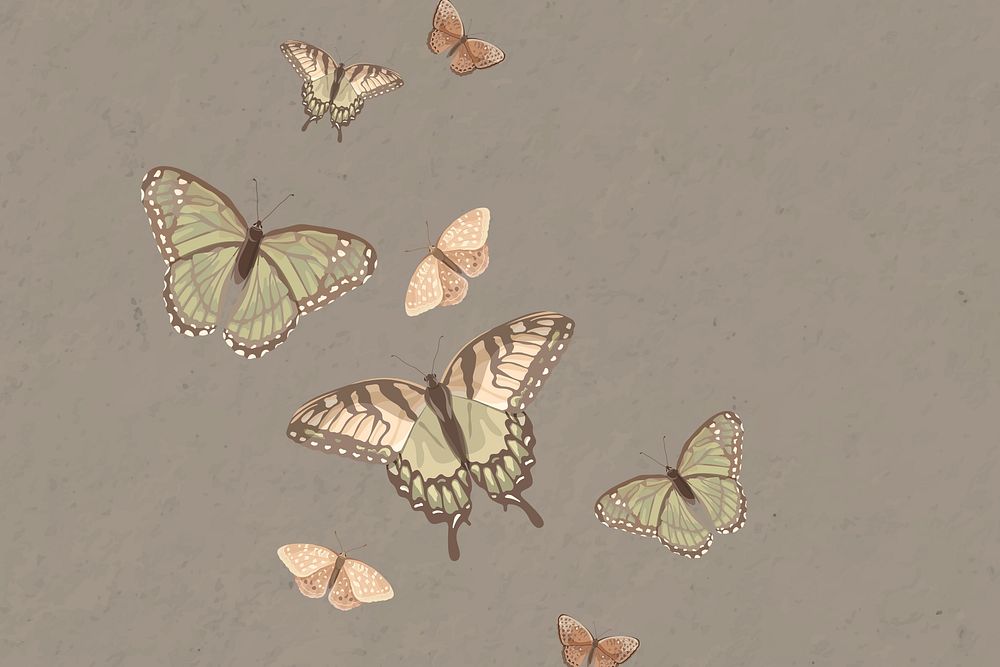 Aesthetic butterfly nature illustration background