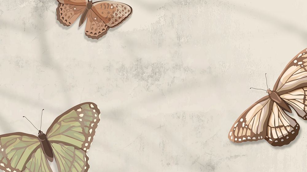 Beautiful butterfly desktop wallpaper