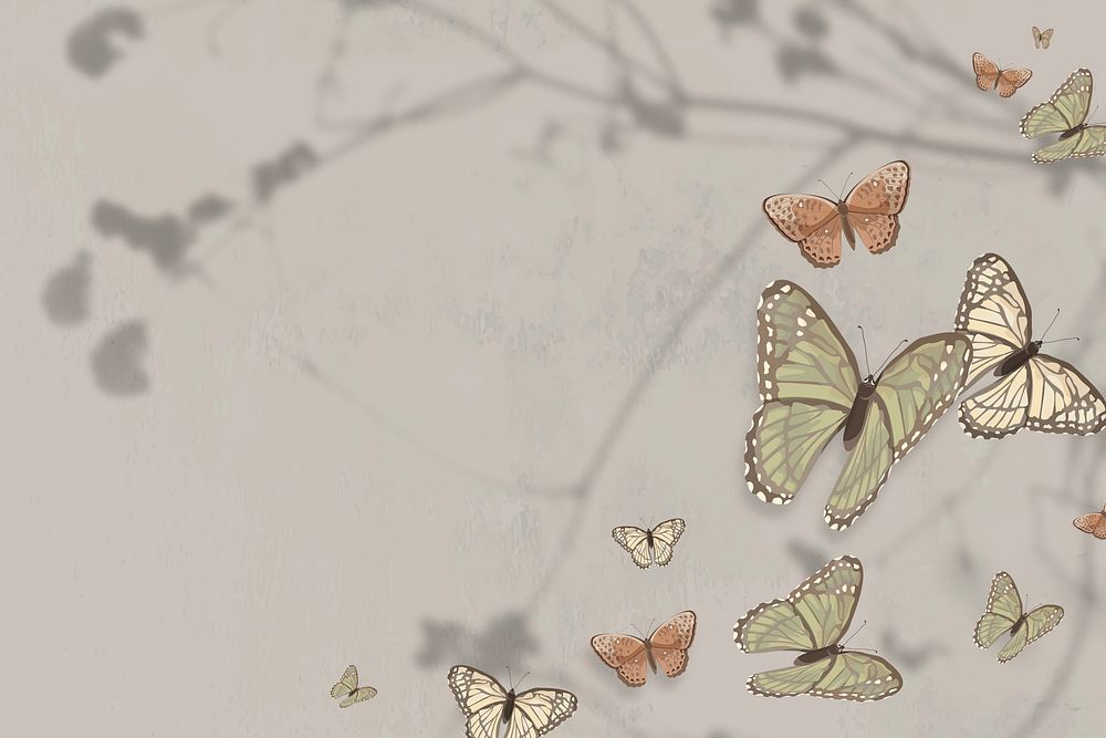 Aesthetic nature butterfly illustration background